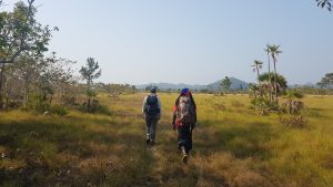 belize manatee reserve