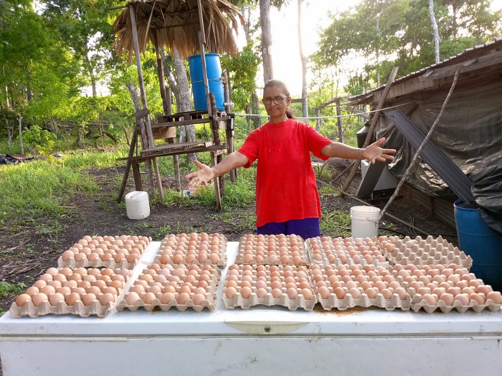 Hard Work Pays Off: Belizean farmer Noema Manzanero thrives with local hatchery