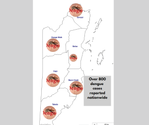 Over 800 dengue cases reported nationwide