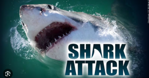 15-year-old fights for life after shark attack in Belize waters