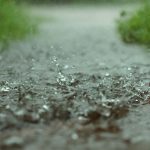 Morning showers, tax free afternoon: the Saturday forecast