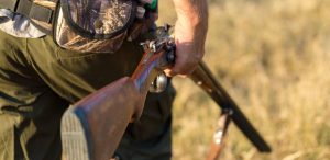 Police apprehend elderly man in possession of shotgun, ammunition