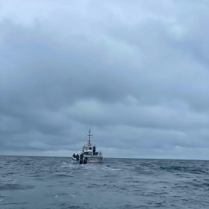 Guatemalan gunboat stuck on Belize Barrier Reef, raising alarms