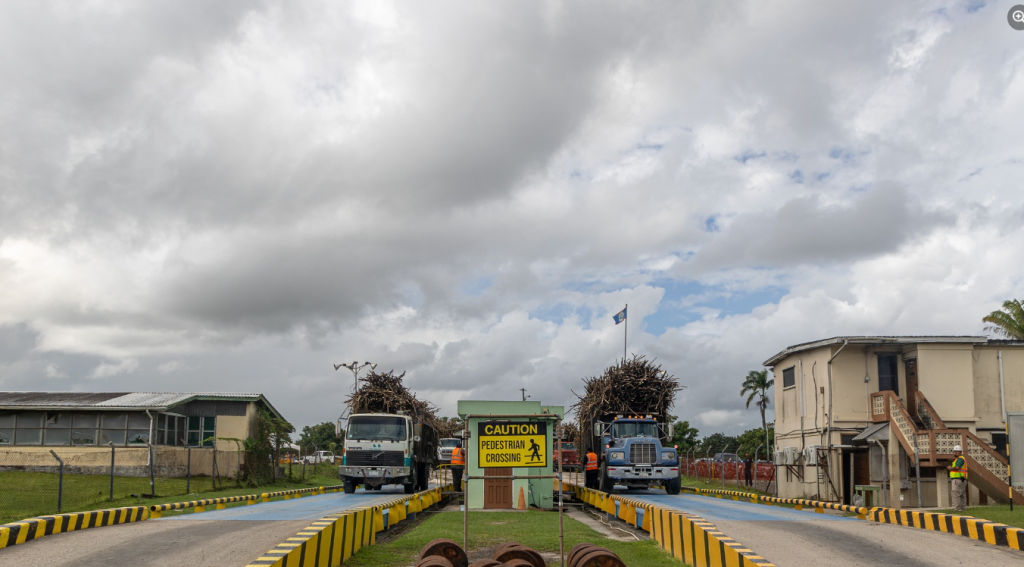 Opening of cane crop season 2024-2025 kicks off in Tower Hill
