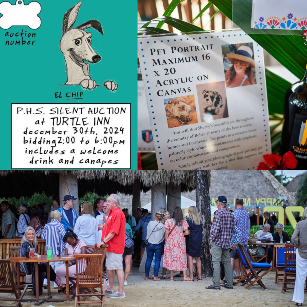 Placencia Humane Society hosts annual "Chip Inn & Salsa Fundraiser"
