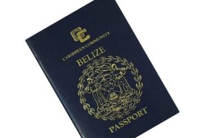 Urgent Appeal: Woman seeks lost passport, offers reward