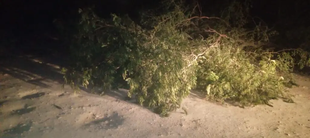 Suspicious roadblock on Progresso Road raises concerns