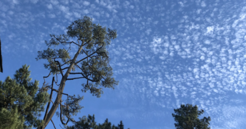 Cold, windy and dry conditions prevail over Belize