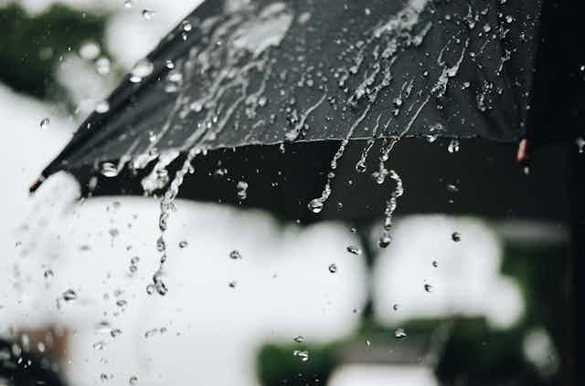 Showers and thunderstorms expected tonight as moist conditions persist
