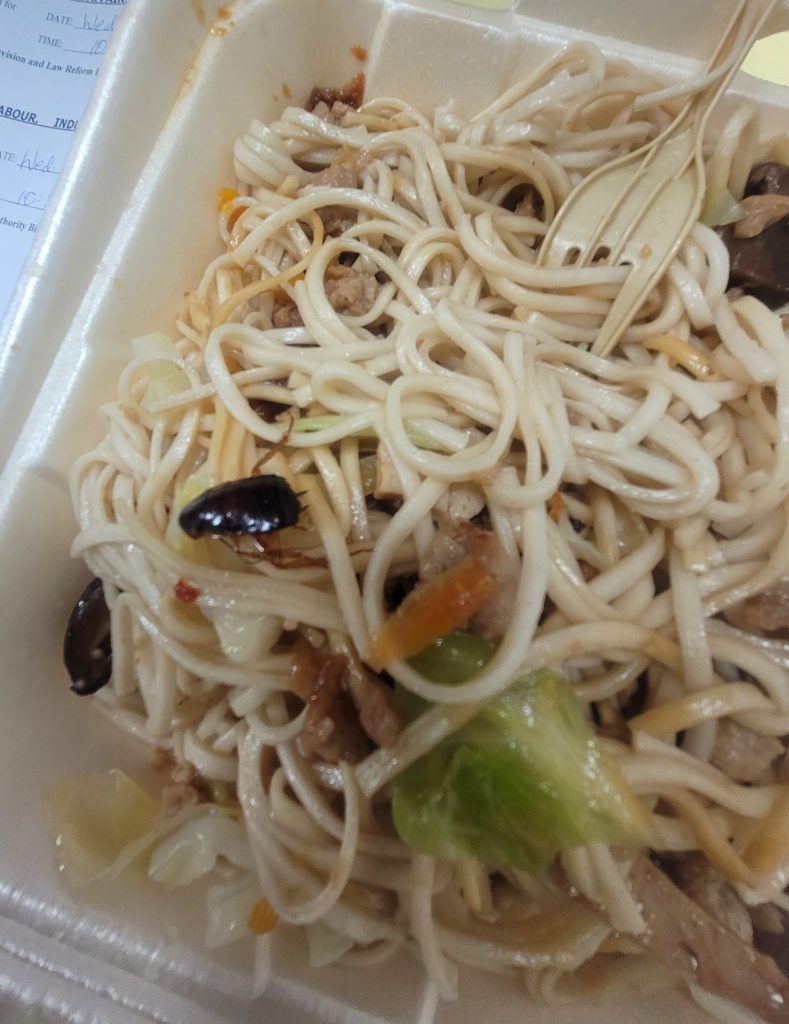 Is that a cockroach or a topping? Belmopan chow mein go viral for all the wrong reasons