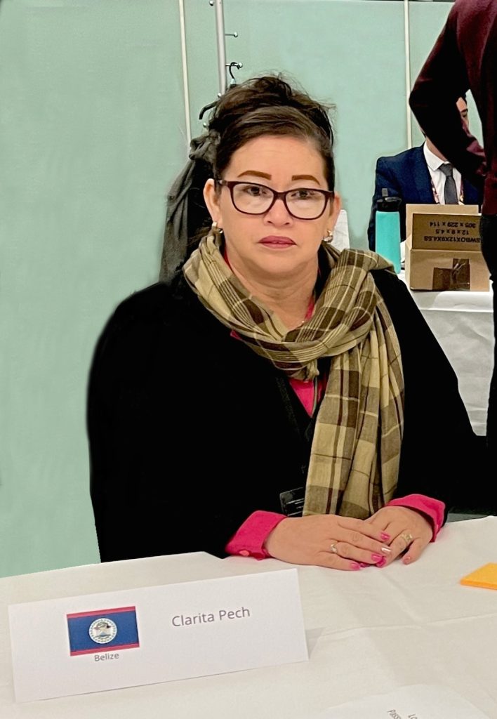Clarita Pech appointed clerk of the National Assembly of Belize