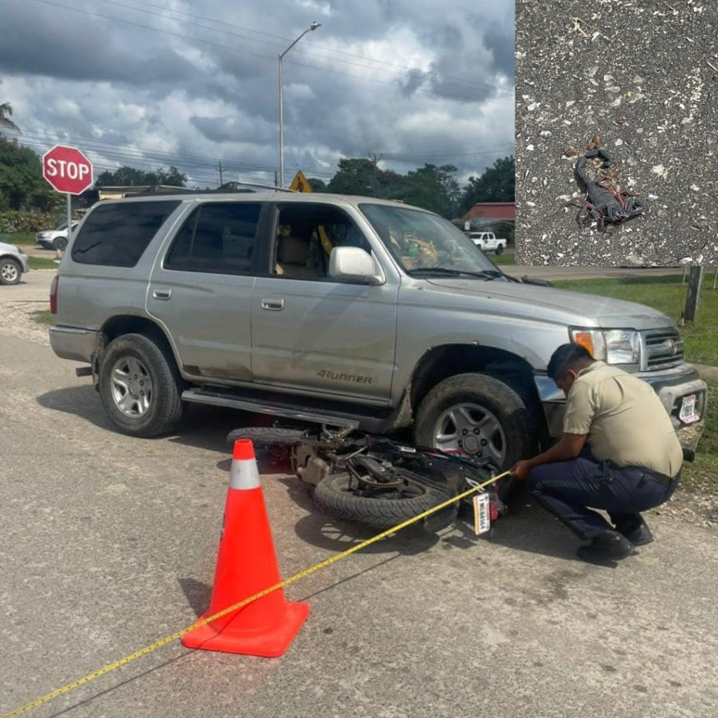 Driver stung twice by scorpion, hits motorcyclist in Belmopan accident