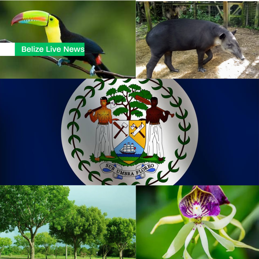 New bill seeks to standardize and regulate Belize’s National Symbols