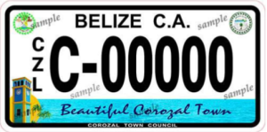 Department of Transport launches nationwide distribution of license plates and stickers