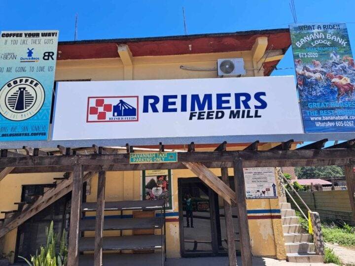 Armed robbery at Reimers Feed Mill in San Ignacio – Customers and staff held at gunpoint