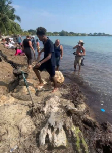 Placencia residents protest over beach access, remove rocks blocking shoreline