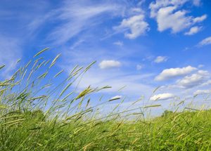 Belize enjoys a warm, breezy start to the week