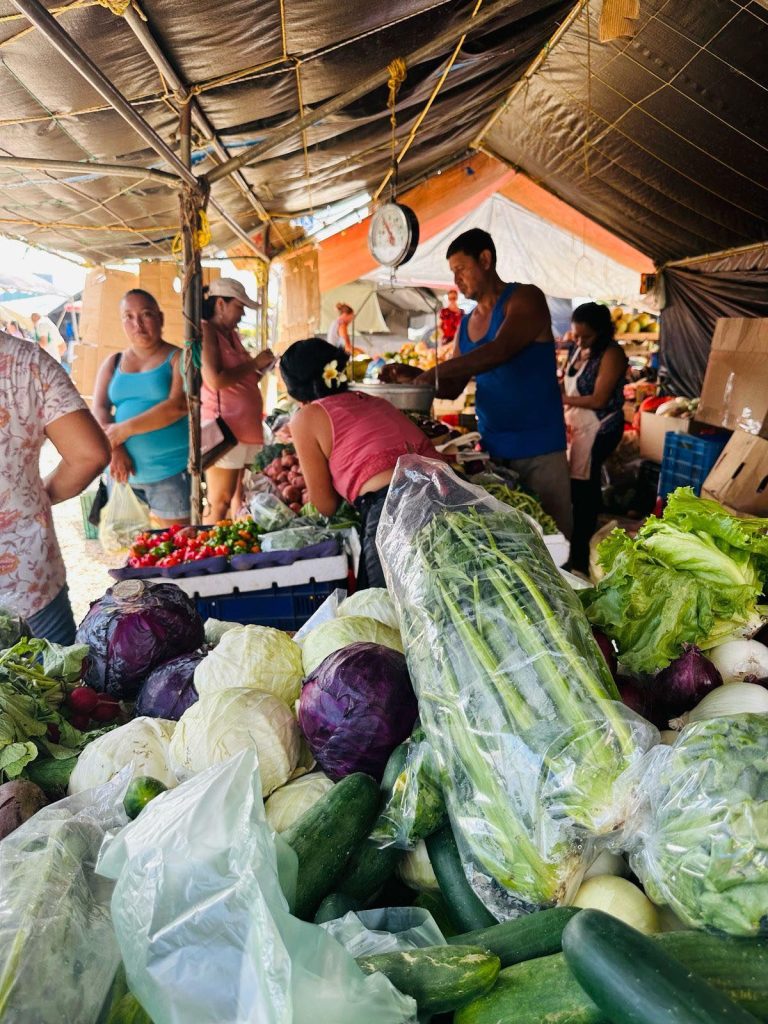 Belmopan Market Plaza vendors told: No trade license, no sales