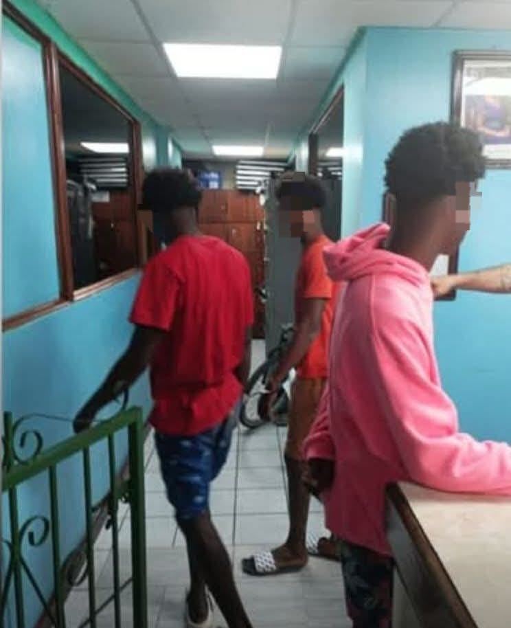 Police vow accountability as teens face multiple charges in shocking horse abuse case