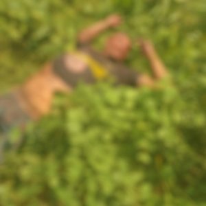 Murder investigation underway in Punta Gorda after man’s body found with severe injuries