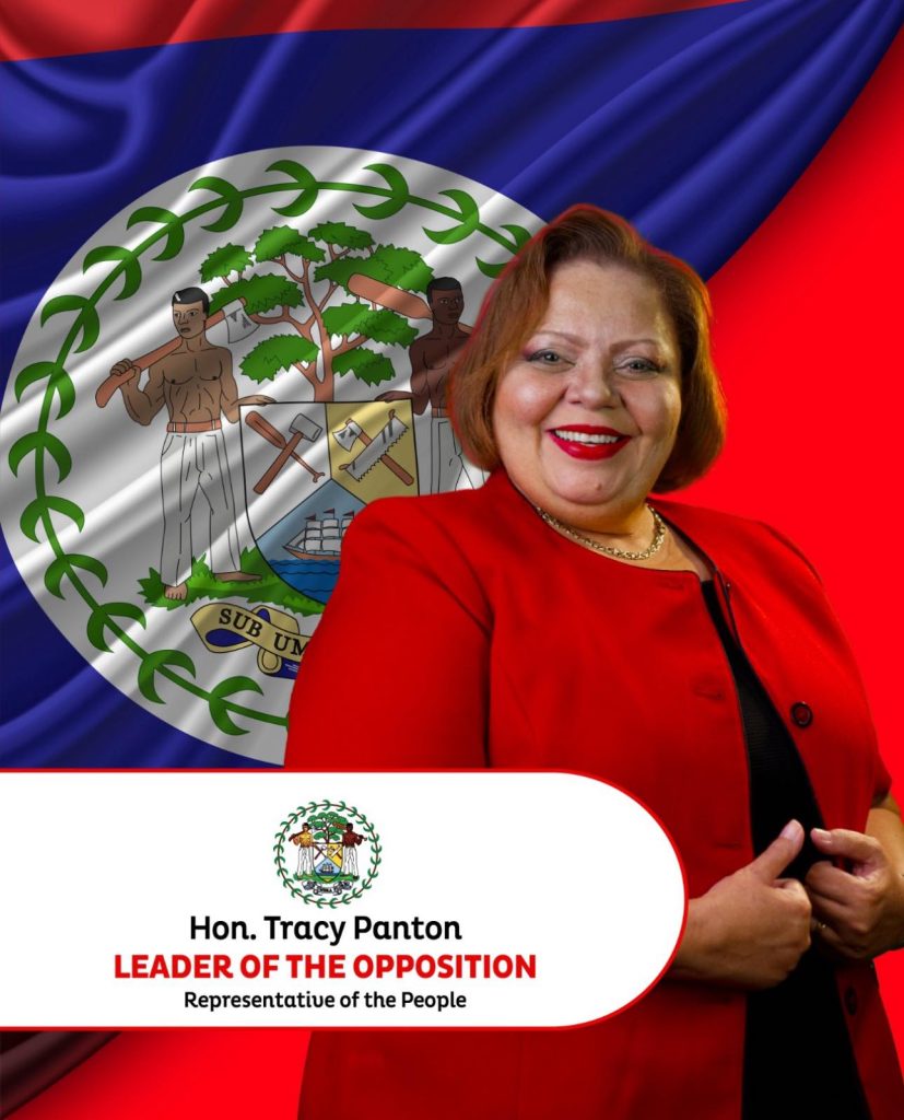 Tracy Panton experiences health scare during Budget Session, checked by medical personnel