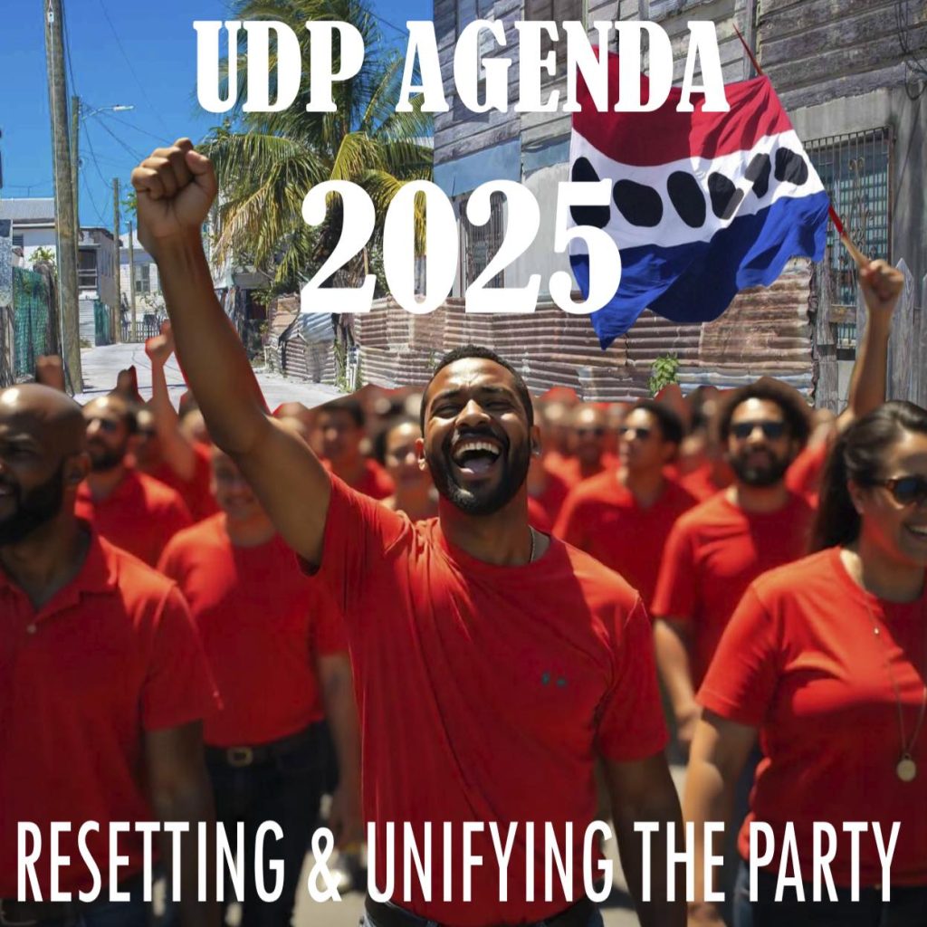 UDP eyes reset as June 14 Party Council meeting is called