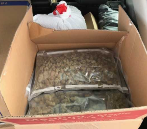 Customs Officers in the hot seat: Police say charges are coming