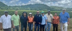 Minister Mai tours citrus and coconut farms in southern Belize to strengthen agricultural resilience