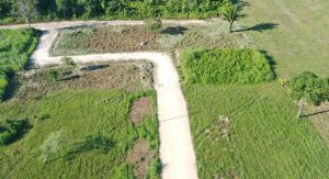 Land grab in Belize: The issue no one wants to talk about