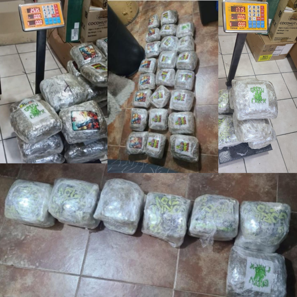 Belize City woman detained after Police seize over 70 pounds of cannabis