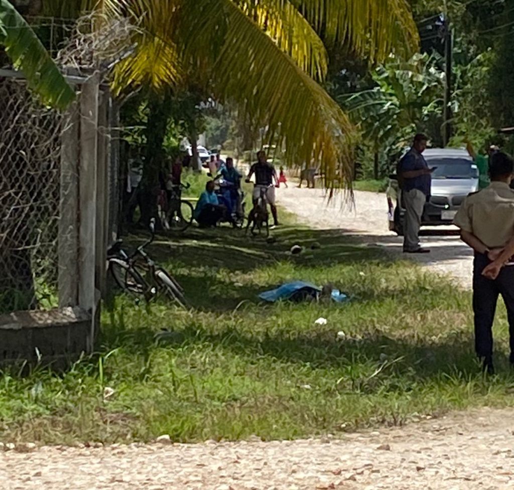 Police investigate killing in Bella Vista Village, Toledo