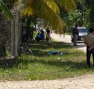 Police investigate killing in Bella Vista Village, Toledo