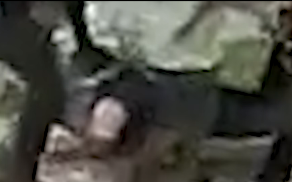 Surveillance video emerges allegedly showing Police abducting Joseph Budna in Orange Walk