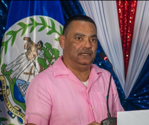 Foreign Minister willing to take petition to remove Israeli visa waiver to Cabinet