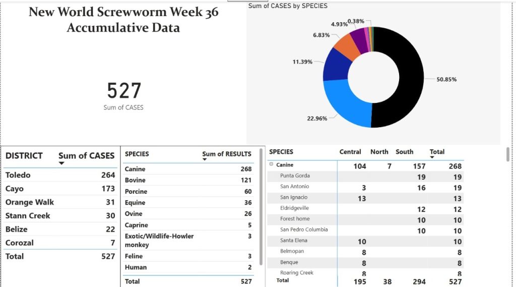 Over 500 new world screwworm cases recorded in Belize by week 36