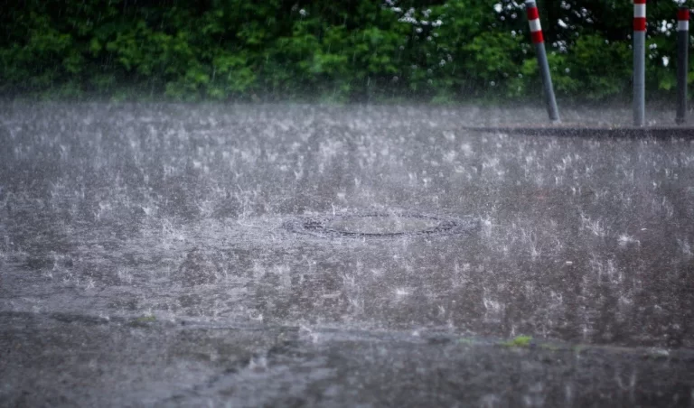 Wet and cloudy day ahead as a tropical wave moves in
