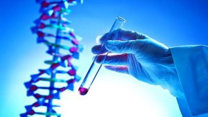 Cabinet approves introduction of DNA Bill