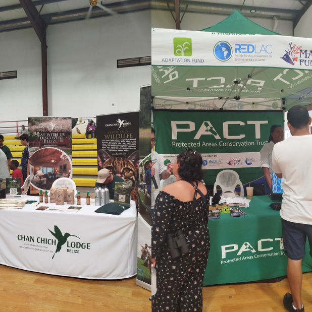 Belize Birding Festival 2025 continues in Punta Gorda — Day 2 highlights