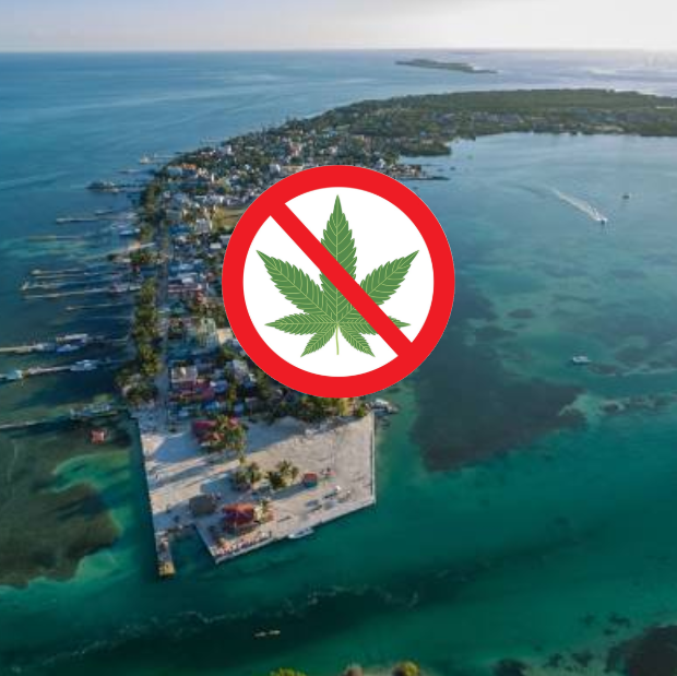 Caye Caulker rejects marijuana legalization in island referendum