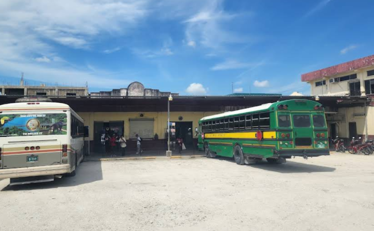 Bus