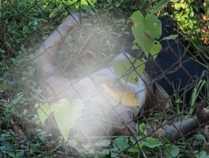 Decomposed body found in Belize City; Police launch investigation