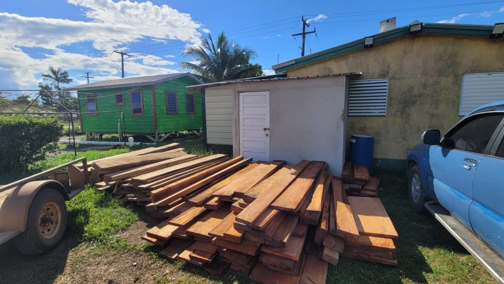 Four detained for illegal logging in Maya Forest Corridor