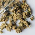 Thirty-three kilograms of cannabis found hidden between tombs in Orange Walk cemetery