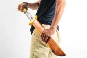 Brothers injured after machete fight breaks out during argument in Santa Martha Village, Orange Walk