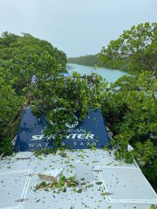 Belize Port Authority confirms Caribbean Sprinter ran aground in mangrove area