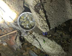 Police recover 12.4 grams of cannabis hidden near drug hotspot