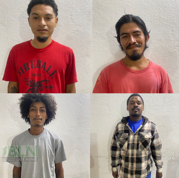 Police seize cannabis and cocaine during search at McLaren residence