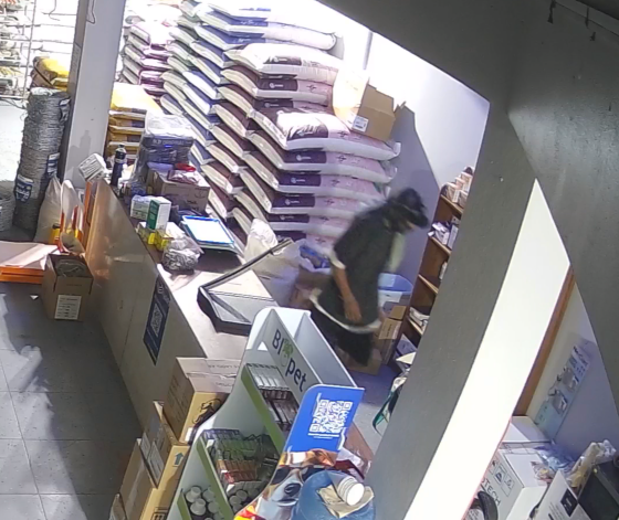 Police investigate quick two minute break-in caught on camera