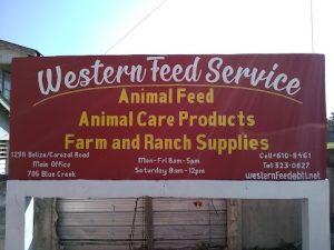Western Feed Service targeted in early morning burglary