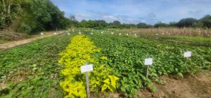 Agriculture Ministry receives equipment to strengthen data management